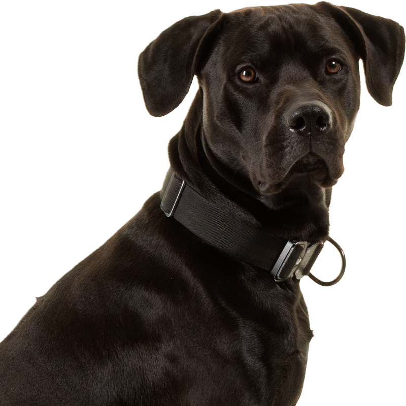 2F8A3424_headshot-right